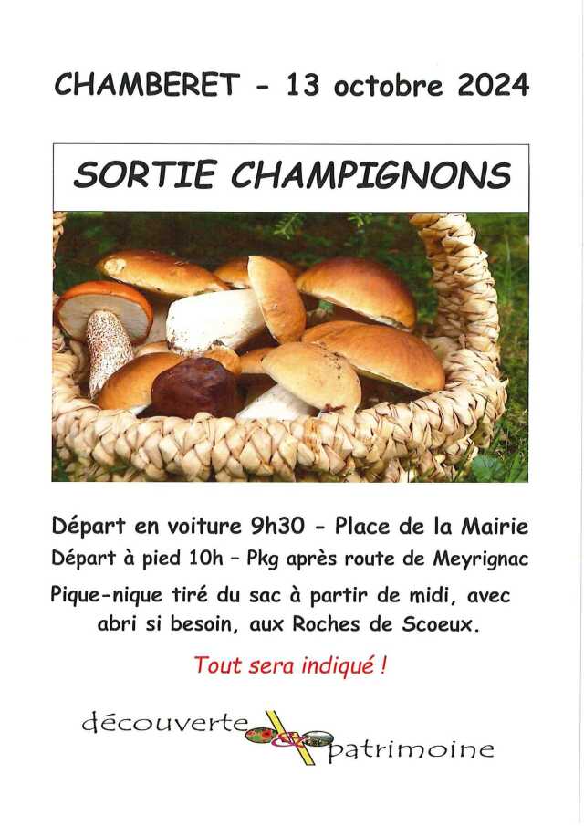 Sortie champignons