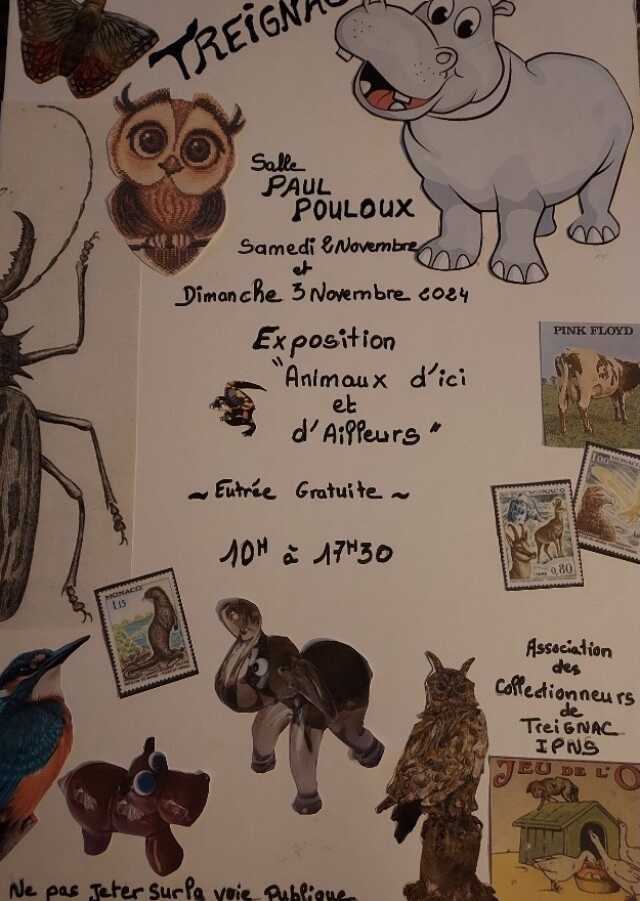 Exposition Animaux d'ici et d'ailleurs