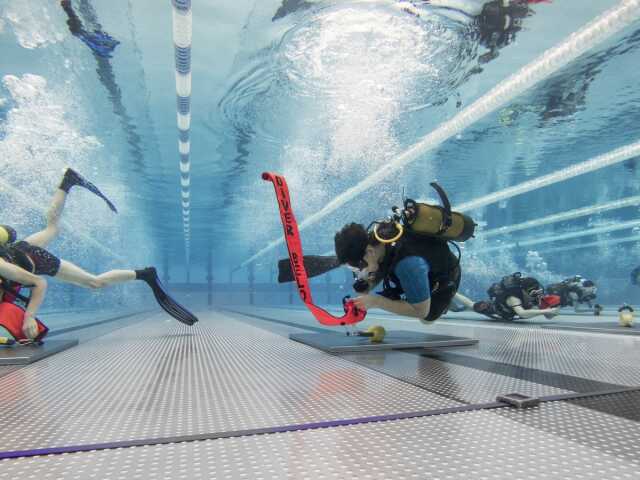 Championnat de France de Plongée Sportive en piscine - Limoges