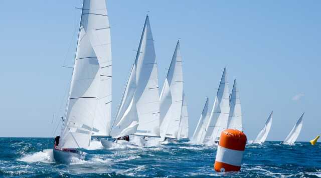 Voile Championnat Bananes