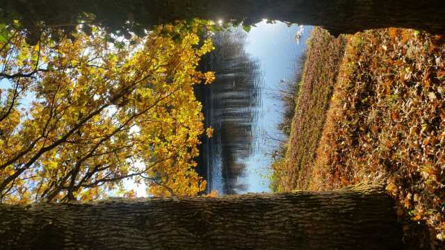 Balade d'automne