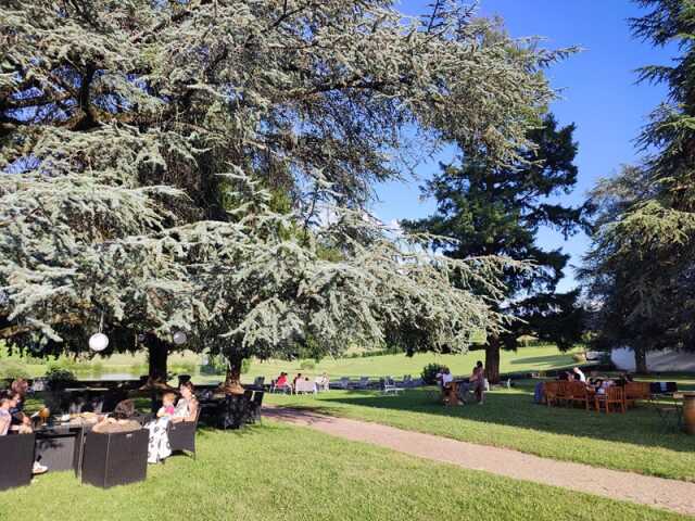 Les déjeuners sur l'herbe, brunch !