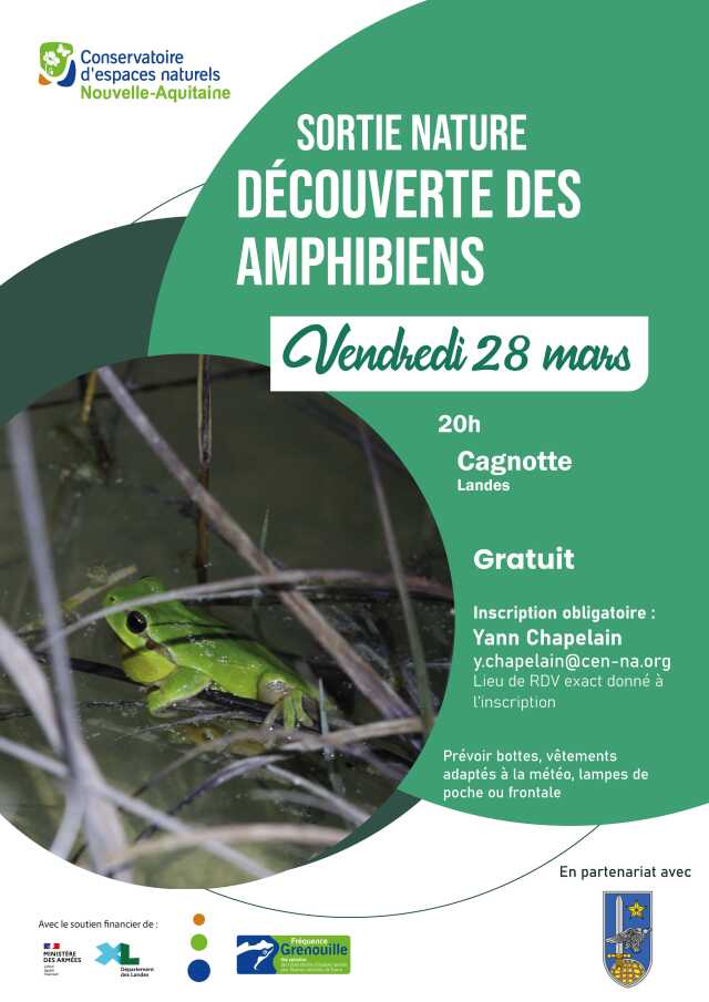 Sortie nature : Découverte des amphibiens