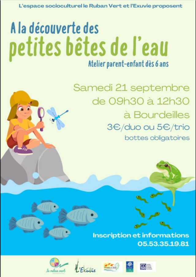 A la découverte des petites bêtes de l'eau