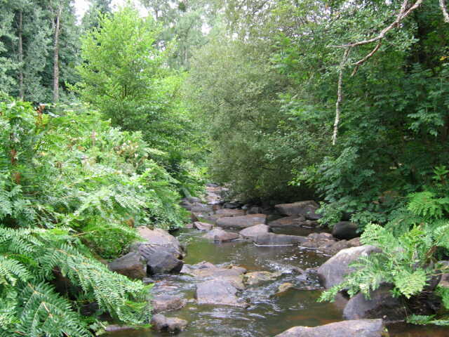 La vallée du Bandiat richesse écologique