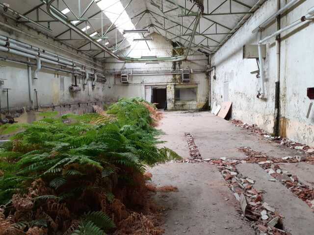 Une usine à la campagne