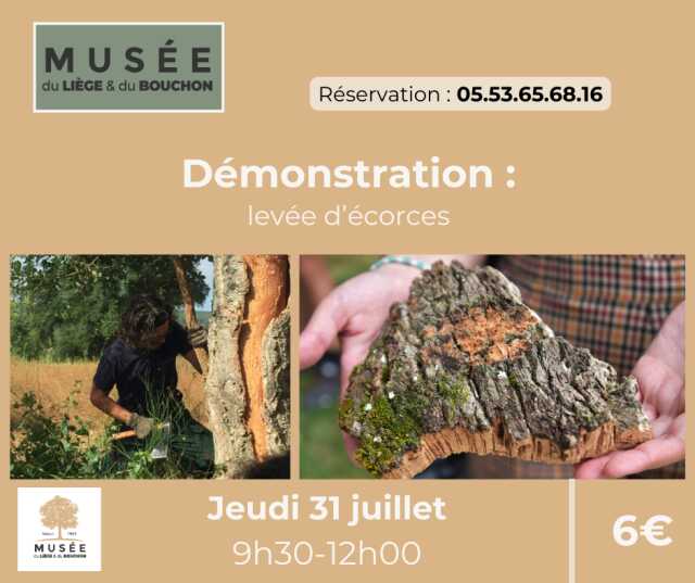 Démonstration de levée d'écorces