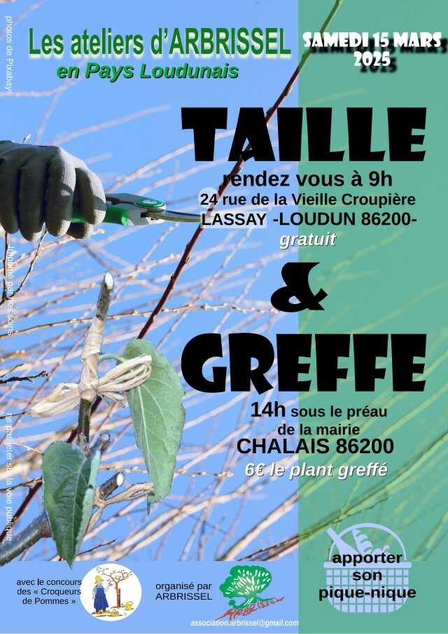 Taille d'arbres fruitiers et greffes avec Arbrissel