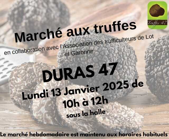 Marché aux truffes