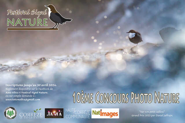 10ème concours international de photo nature