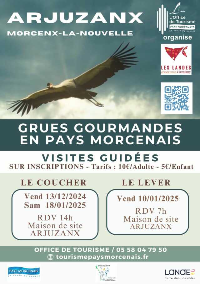 Les grues gourmandes en Pays Morcenais - Le coucher