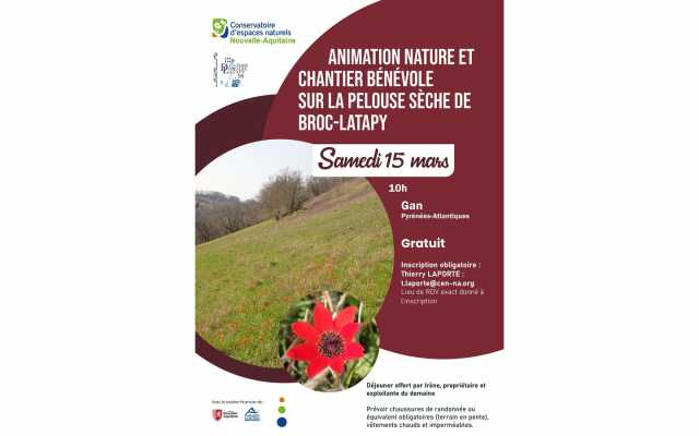 Sortie nature et chantier bénévole sur la pelouse sèche