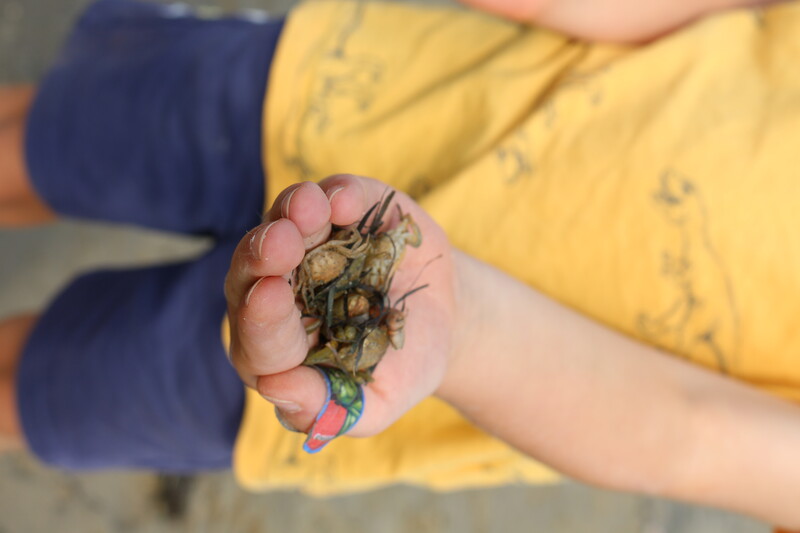 La plage des petits explorateurs