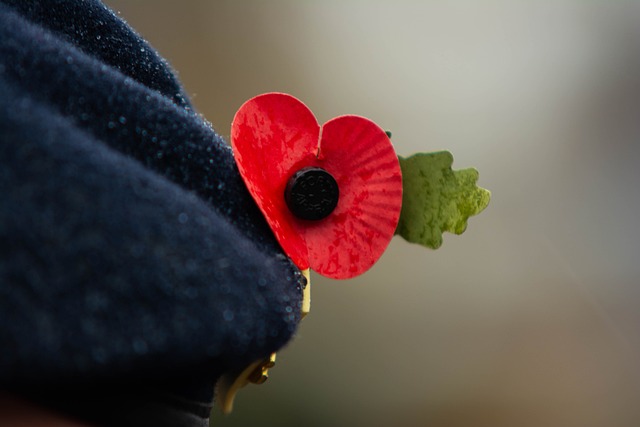 Célébration des 80 ans de l'Armistice : 8 Mai 1945 - 8 Mai 2025