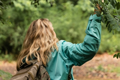 Itinéraires : Les arbres / Balade naturaliste « arbres comestibles »