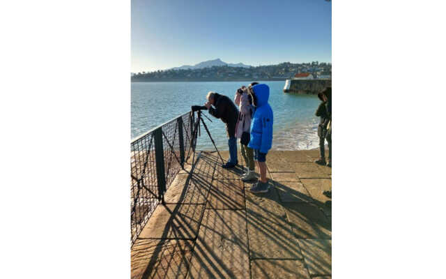 Point d'observation fixe de la migration des oiseaux du bord de mer : initiation au Seawatch à CIBOURE