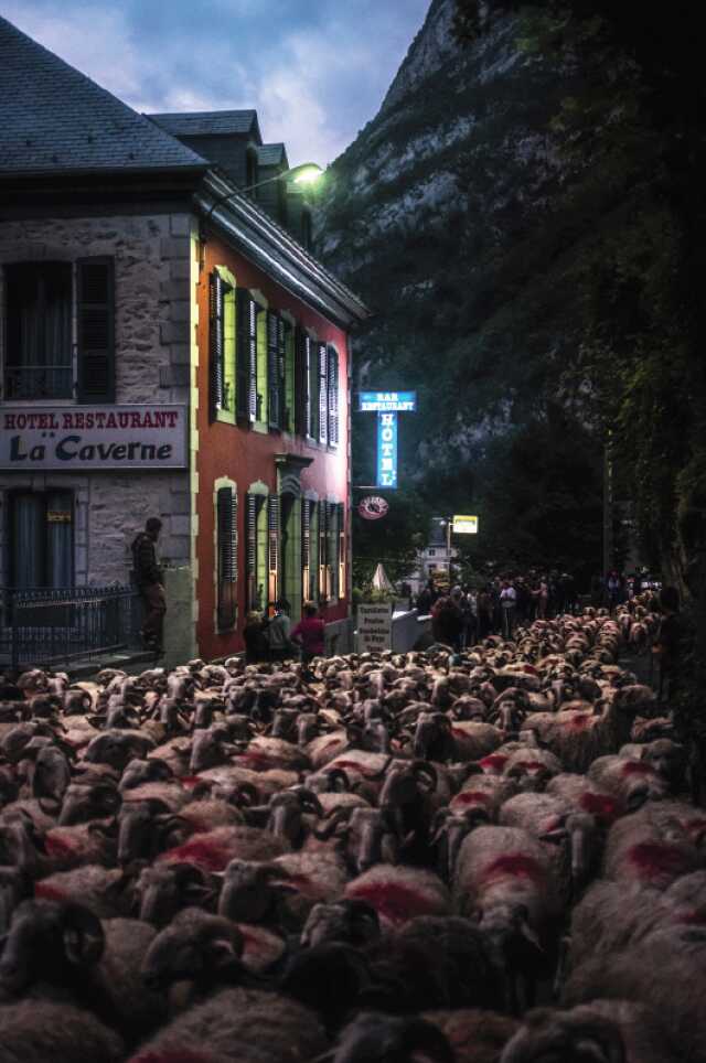 Conférence : La transhumance, patrimoine immatériel - Journées européennes du patrimoine 2024