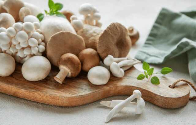 Cours de cuisine : les champignons variations automnales - Limoges