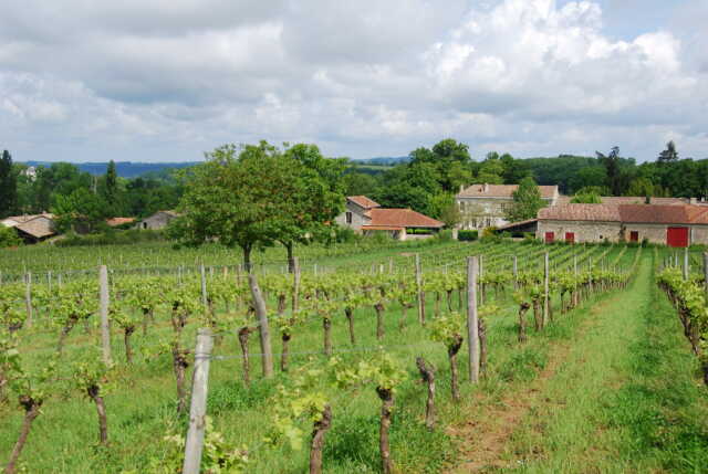 Un week-end, un vigneron indépendant au Château Les Mangons