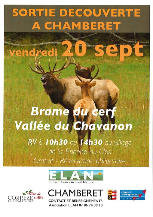 Sortie découverte Le Brame du cerf dans la vallée du Chavanon