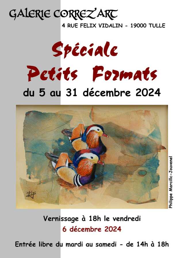 Galerie Correz'Art : Exposition : Spéciale Petits Formats