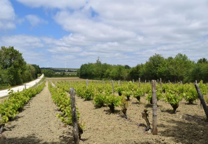 Jeu d'orientation au coeur de l'Espace Naturel Sensible de la Cote Belet