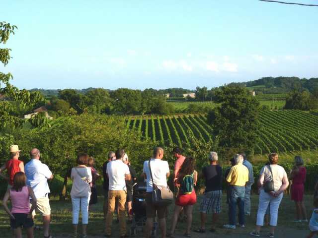 Portes Ouvertes en Madiran, au Domaine Dou Bernès