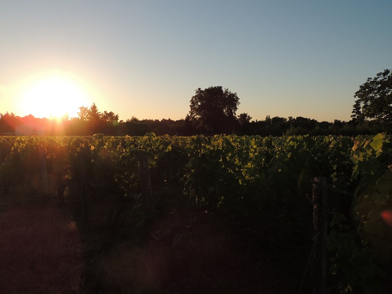 Journées Portes Ouvertes - Domaine de la Gauche