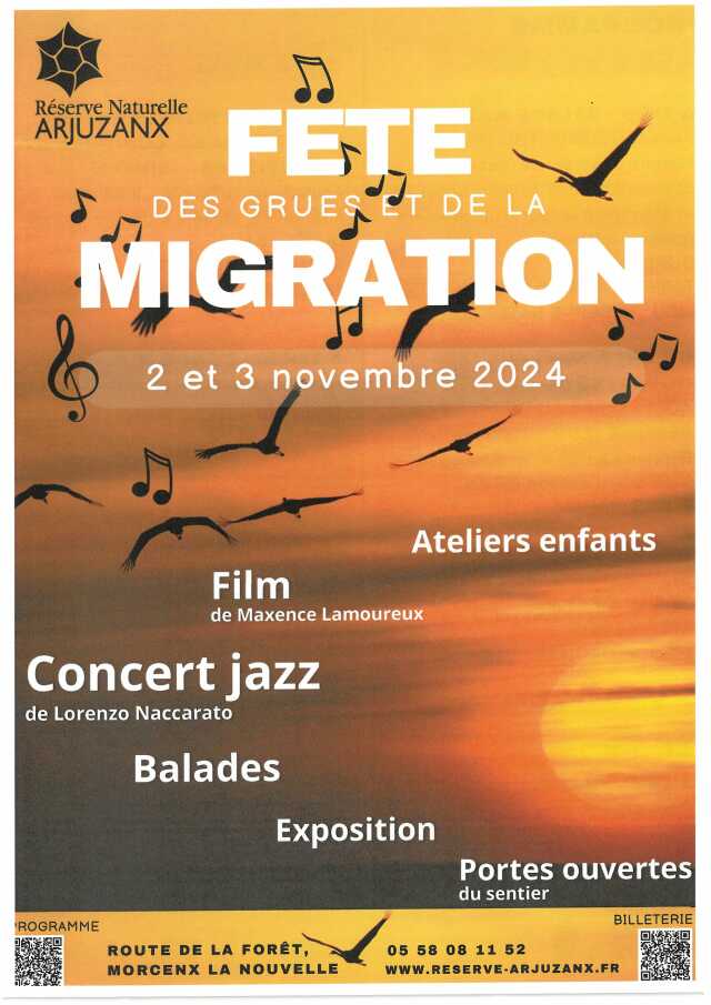 Fête de la grue et de la migration