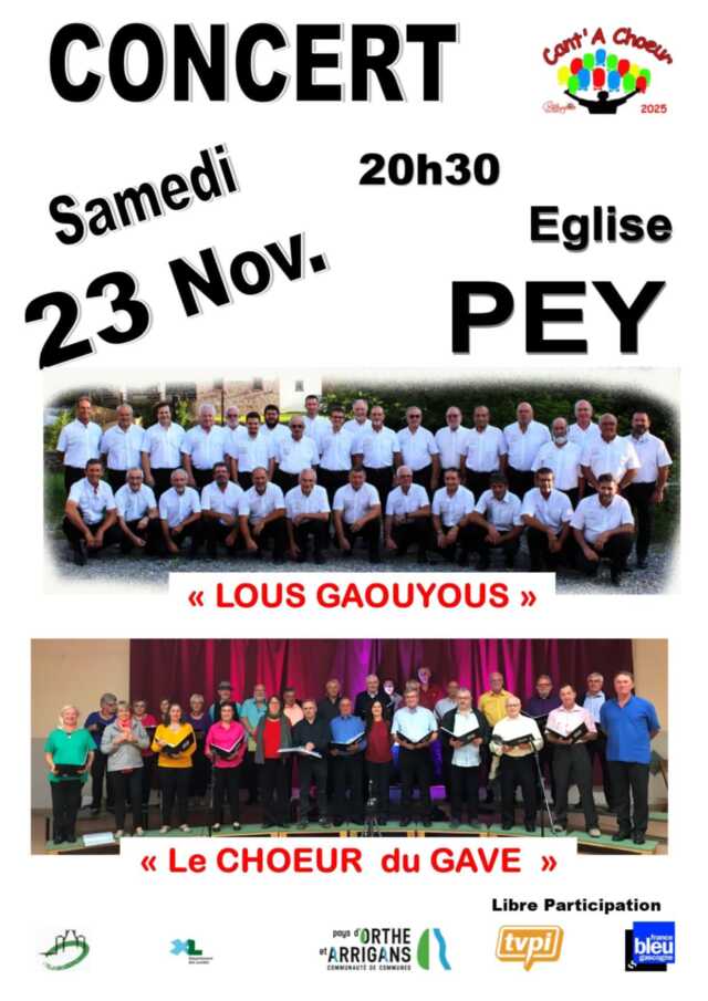 Concert de Lous Gaouyous