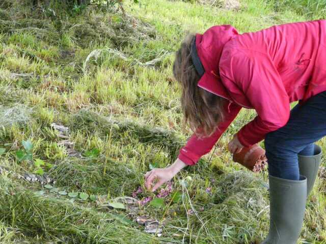 Ateliers Land Art Expérimental - sur réservation