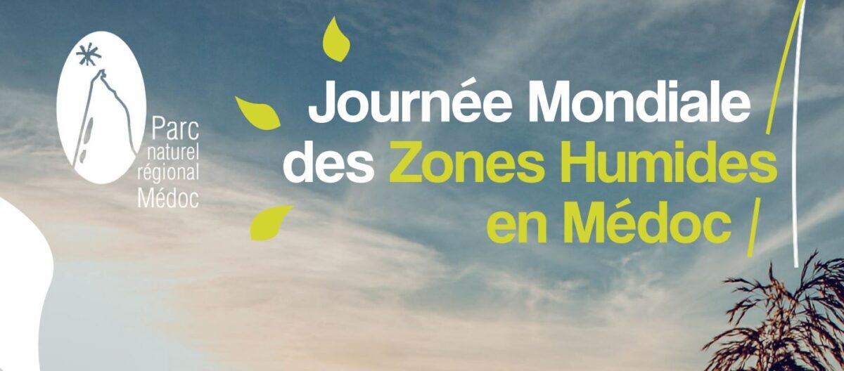 JMZHM / Solutions fondées sur la nature : le rôle épurateur des marais de Soulac - Sur inscription