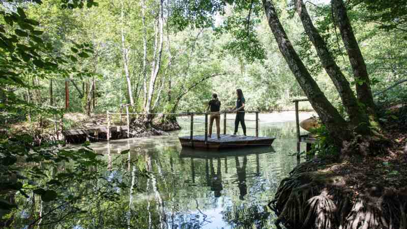 La Forêt des sens