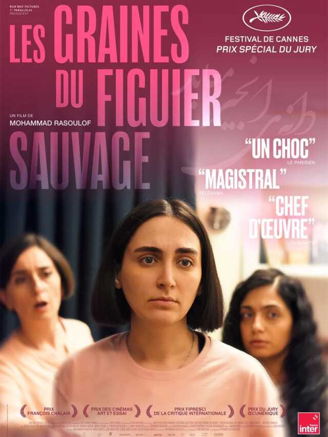 Les graines du figuier sauvage