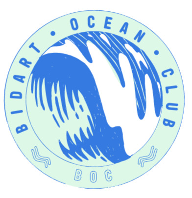 BIDART OCEAN CUP / Fête du club du Bidart Océan Club