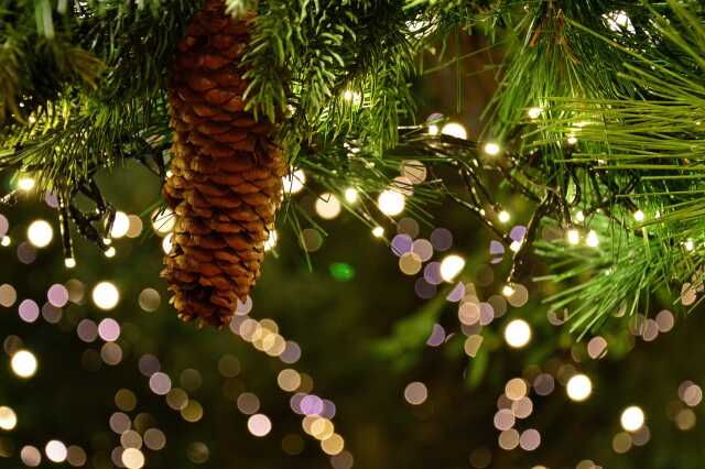 Marché de Noël à Rochechouart