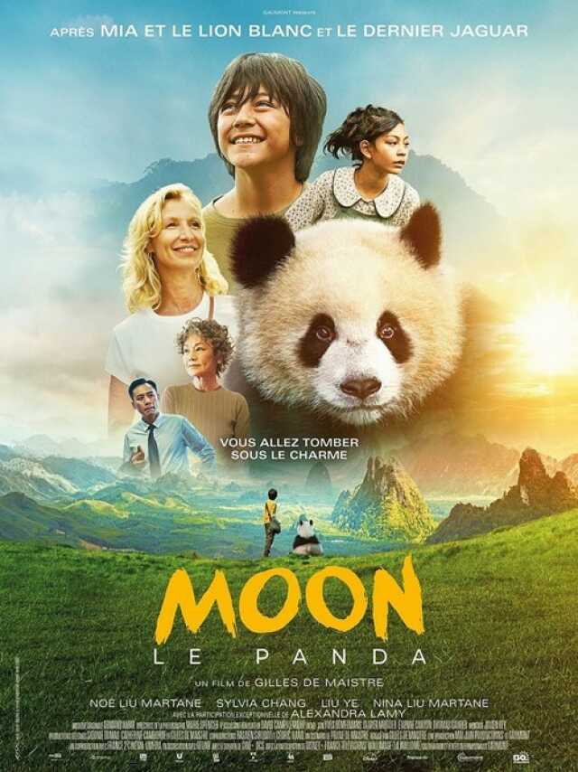 Cinéma : Moon le panda