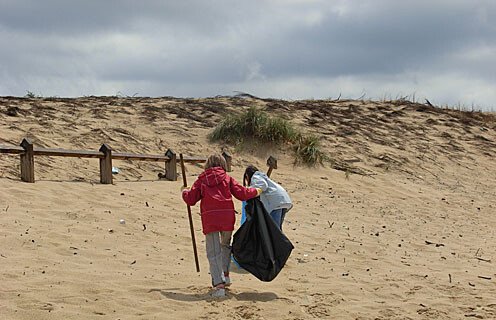 Nettoyage manuel du littoral