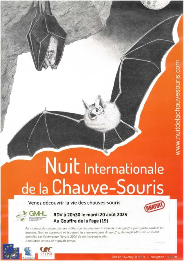 Nuit internationale de la chauve-souris