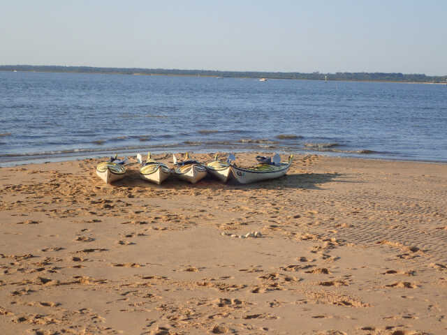 Découverte et initiation au kayak de mer dans le delta du Bassin d'Arcachon