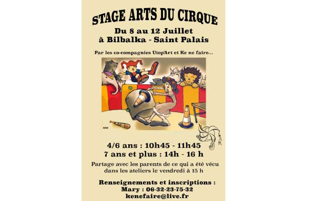 Stage Arts du Cirque