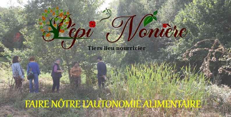 Pépi'Nonière : Boutique Légumes