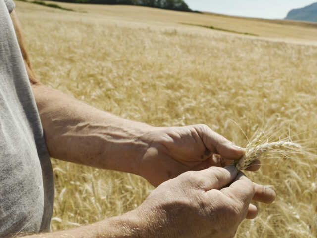 Ciné-discussion : La Théorie du Boxeur