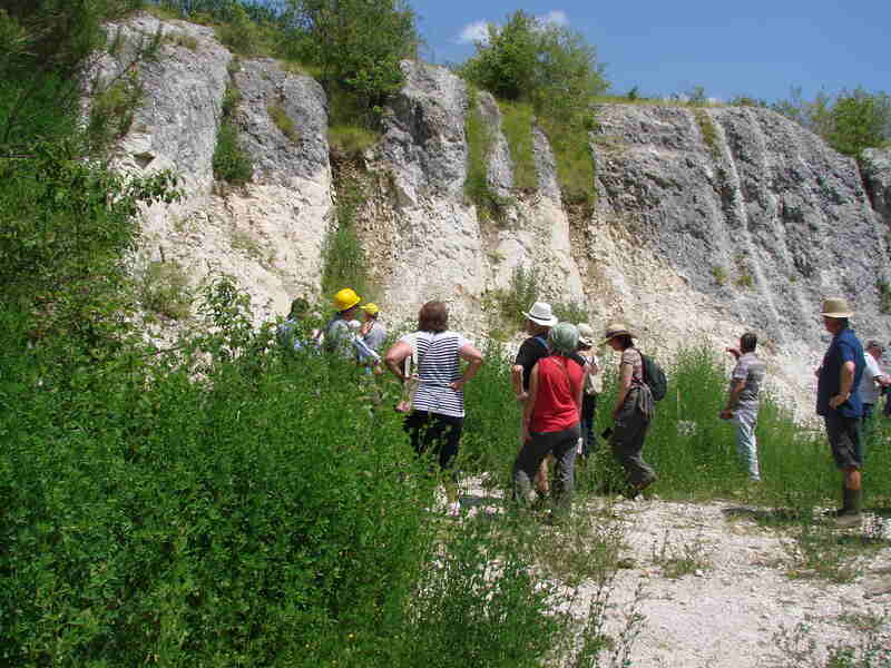 Les 48h Nature: La Réserve Naturelle Géologique des Carrières de Tercis les Bains