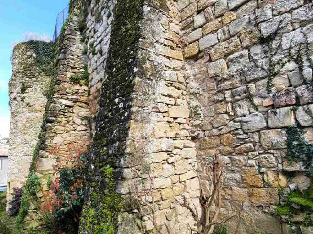 Visite guidée - Les remparts de La Réole