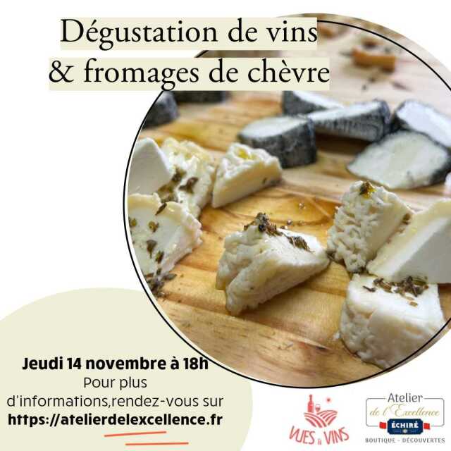 Atelier dégustation vins et fromages de chèvre à Echiré