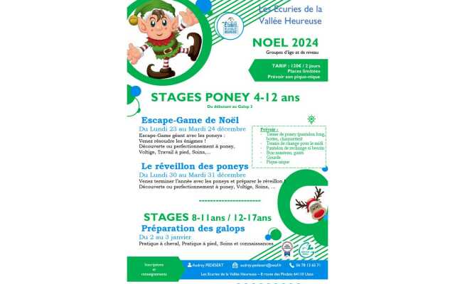 Stages Poneys Noël