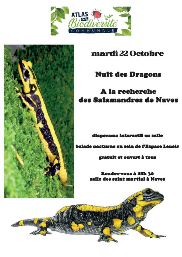 Nuit des dragons