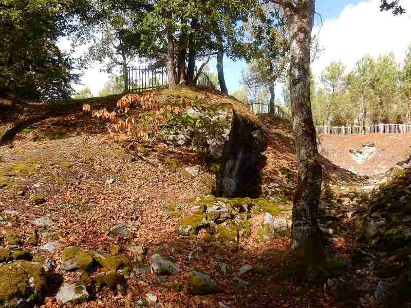 Visite commentée du sentier des meulières