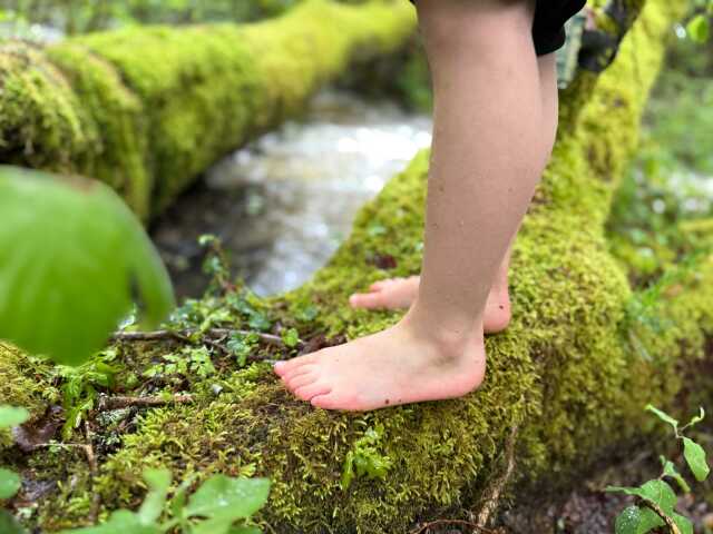 sentier pieds-nus